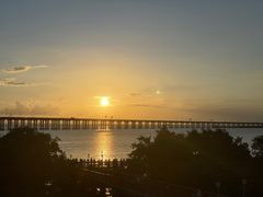 -宝安西湾红树林湿地公园