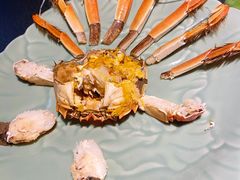 成隆行精选大闸蟹-成隆行·蟹王府(九江路店)