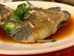 -绿岛国际酒店·海鲜酒楼(八七路店)