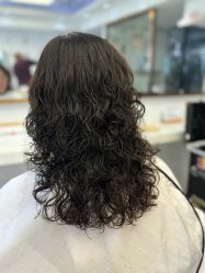 -镁连社·美联社