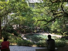 -香港大学