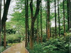 -上海醉白池公园
