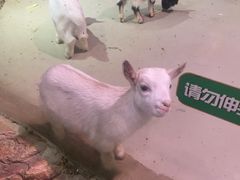 -正佳雨林生态植物园