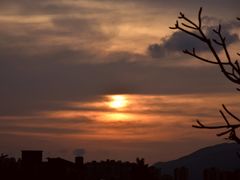 -羚羊峡古栈道森林公园