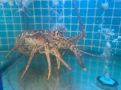 -不仔客海鲜·烧烤·270度海景餐厅(大东海店)