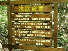 -龙道沟景区