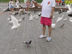 -卧龙湖