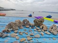 -亚龙湾海底世界