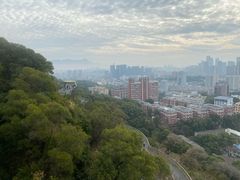 -福道