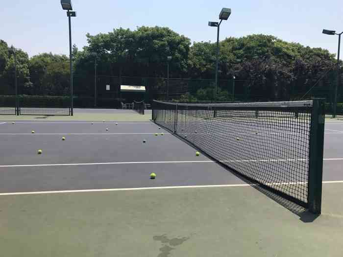 闵行体育公园网球场-"离地铁站有点距离,要坐公交.场地有点难预.