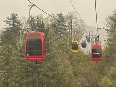-洛阳白云山景区