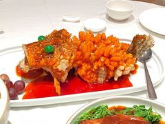 松鼠桂鱼-松鹤楼(狮山永利广场店)