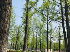-百林公园-两江幸福广场