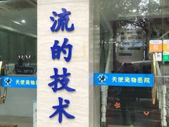 -瑞派天使宠物医院·神经外科·骨科·核磁(洛川中路店)