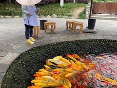 -成飞公园