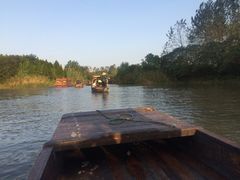 iphone_upload_pic-溱湖国家湿地公园