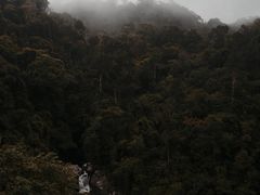 -海南热带雨林国家公园吊罗山景区
