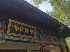 -桃花堤公园