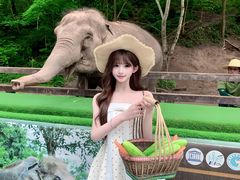 -野象谷景区