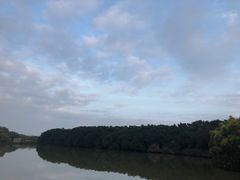 -大湾区中央湿地公园