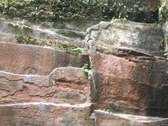 -川西竹海景区