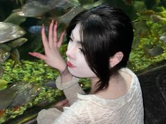 -左海海底世界
