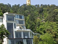 -南山植物园