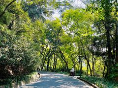 -白云山风景名胜区