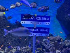 -横店影视城梦幻谷园区