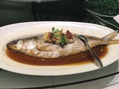 -宝燕壹号(徐汇店)