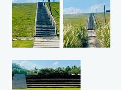 -佛手湖郊野公园