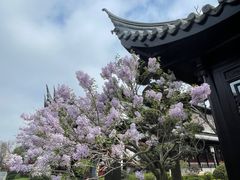 -上海皇廷花园酒店·御宴中餐厅