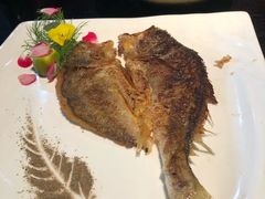 -羽山料理