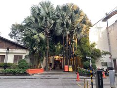 -海岛八号龙虾烧烤田鸡(蓝天路总店)