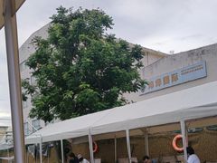 -DGE季风钓虾营地·团建·聚会