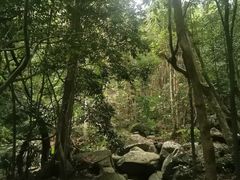 -七仙岭温泉国家森林公园