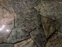 -余姚阳明温泉山庄
