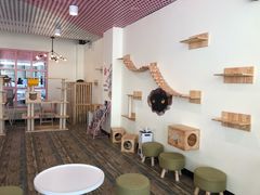 大堂-喵匠猫主题咖啡(凯德和平广场店)