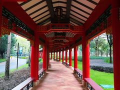 -顺峰山公园