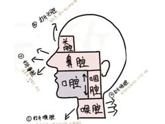 -MusicLife音乐(浦东校区)