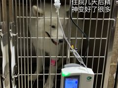 -联合动物医院(光谷诊疗中心)