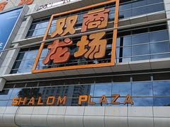 -双龙商场(环城南路店)