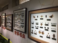 -上海昆虫博物馆