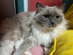 -零纪元VR体验馆·桌游(黄浦店)