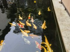 -湖鲜楼