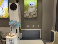 -关爱宠物医院·猫科中心·消化科(滨湖万达分院)