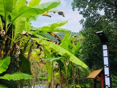 -剑河仰阿莎温泉小镇