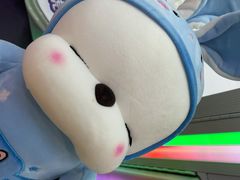 -PAWTOY爪e玩偶店(天兴罗斯福店)