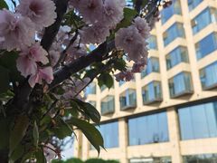 -烟台金沙滩喜来登度假酒店