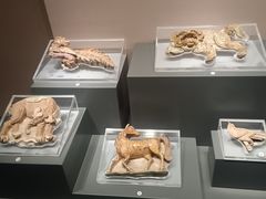 -中国闽台缘博物馆